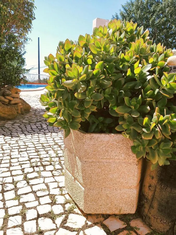 Quinta Dos Caracois Hotel Lagos 3*,